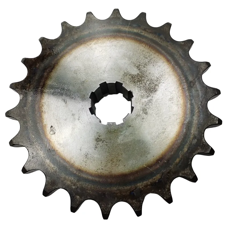 Innovativo Articolo 2026: Pign - Sprocket recensione e prezzo