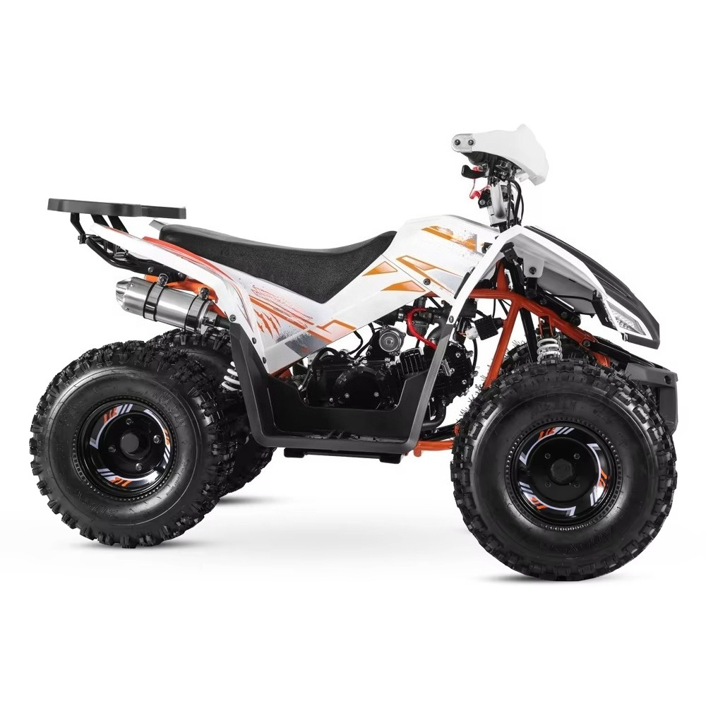 Stlf Tao Motor 2026 Nuovo Desi - Bike Chain recensione e prezzo