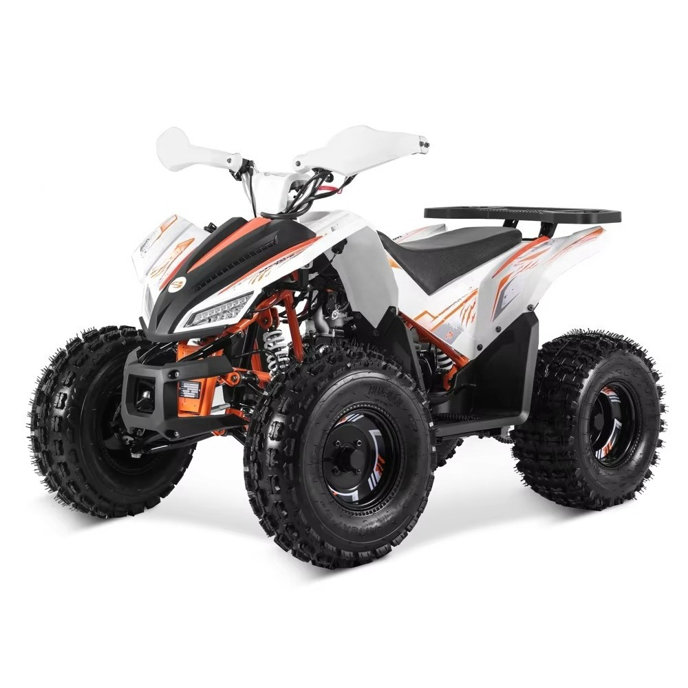 Stlf Tao Motor 2026 Nuovo Desi - Bike Chain recensione e prezzo